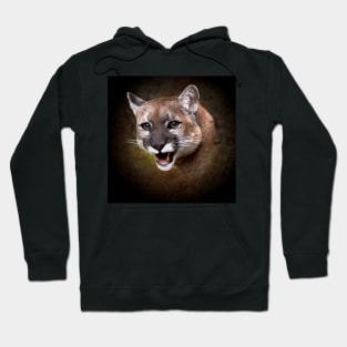 Mountain lion portrait Hoodie